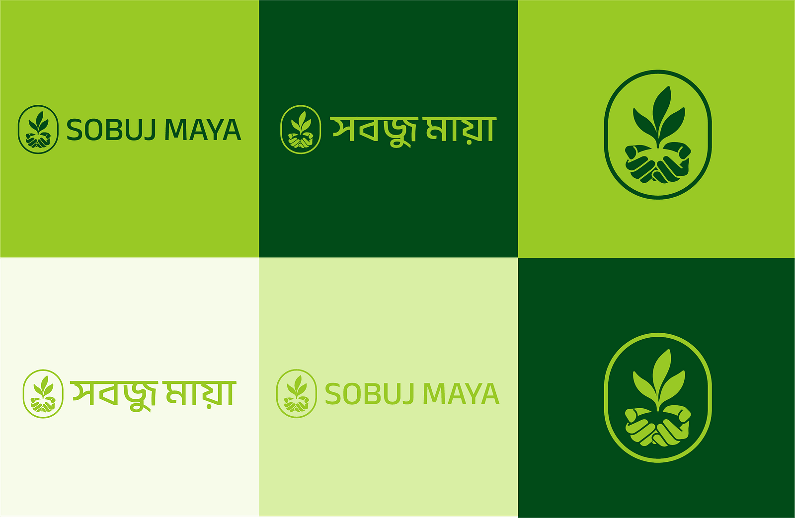 Sobuj Maya, organic food and lifestyle brand — case story image 4 of 4